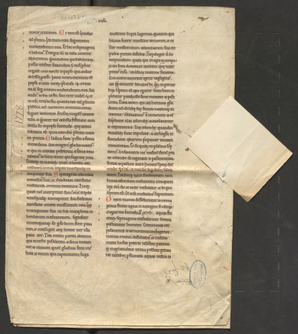 Fragment de l'Apocalypse (XIVe siècle)