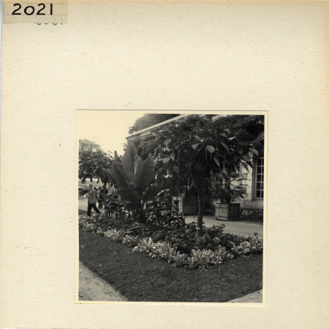 Angers : Jardin des Plantes