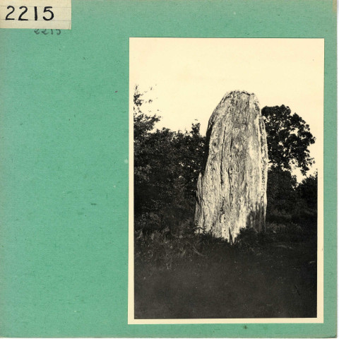 Armaillé : Menhir de la Pierre Frite