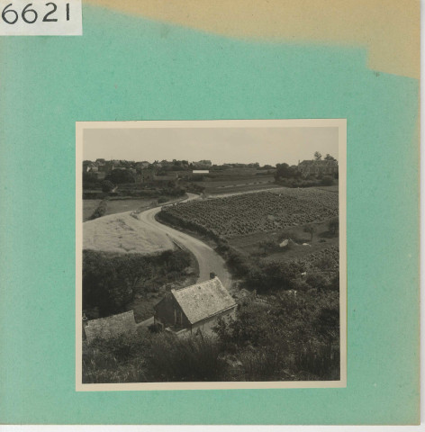 Chaudefonds-sur-Layon : Vignoble angevin, Ardenay