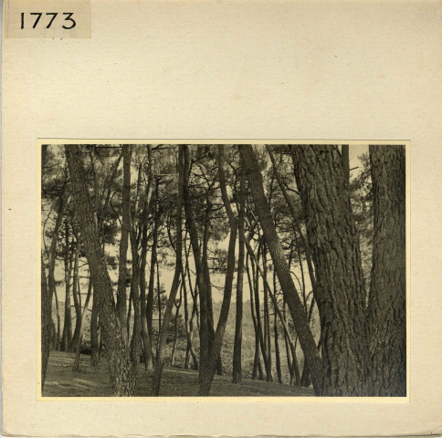 Angers : Parc de La Haye