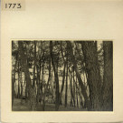 Angers : Parc de La Haye