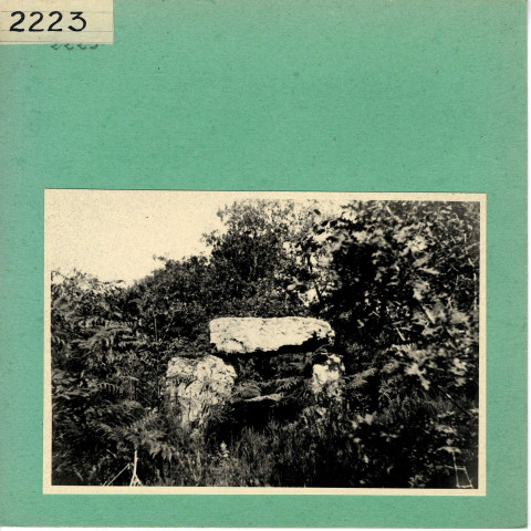 Saint-Rémy-la-Varenne : Dolmen de la Bajoulière