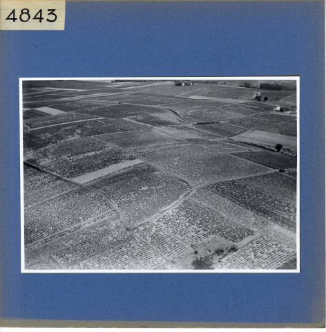 Rochefort-sur-Loire : Chaume (vue aérienne)