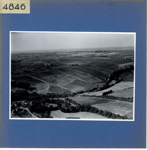 Rochefort-sur-Loire : Chaume (vue aérienne)