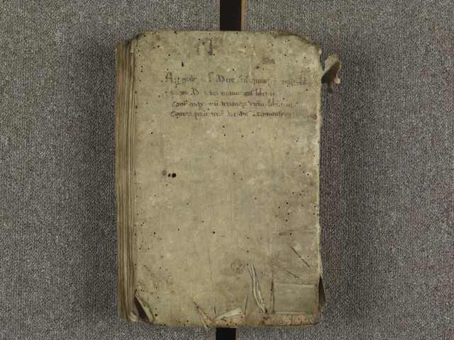 « Haec insunt in hoc codice : libri sancti Augustini episcopi adversus quinque hereses liber I ; adversus Manicheos libri IIII (fol. 14) ; contra Maximinum, Arrianorum episcopum, libri III (fol. 60) ; contra Pascentium, vir. spect., arrianum de omousiou liber I (fol. 154) »