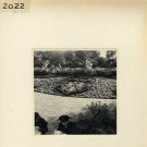 Angers : Jardin des Plantes