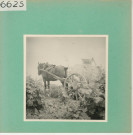 Anjou : Vignoble angevin