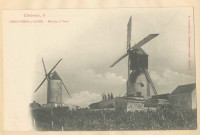 Chalonnes-sur-Loire. Moulins à vent