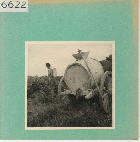 Anjou : Vignoble angevin