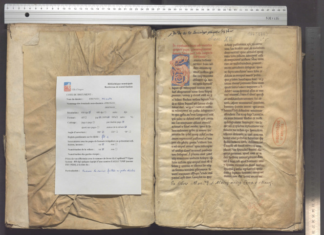 Suite des Moralia in Job, livres VI à X.