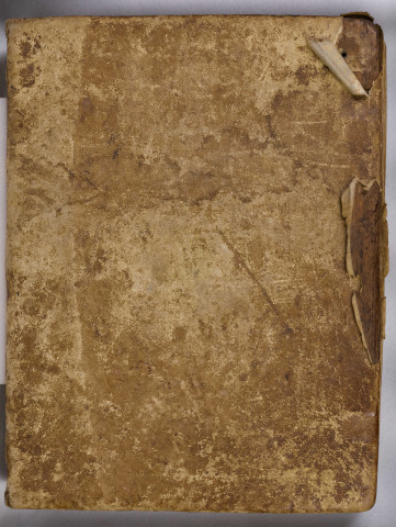 Bible latine, en deux volumes. [Volume 1]