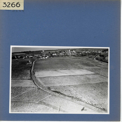 Beaulieu-sur-Layon : Vue d'ensemble ( vue aérienne)