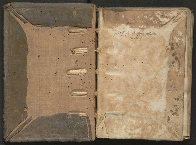 Pontifical d'une église située en terre d'Empire. En tête : « Ordo ad consignandum pueros sive infantes. » Le pontifical commence au fol. 7 : « Ordo ecclesiasticorum graduum et in gradibus ordinandi. » Au fol. 25, cérémonie du synode. Sur un feuillet préliminaire, prières ajoutées au XVe siècle