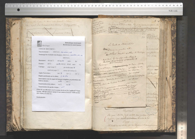 Le comte de Mansfeld