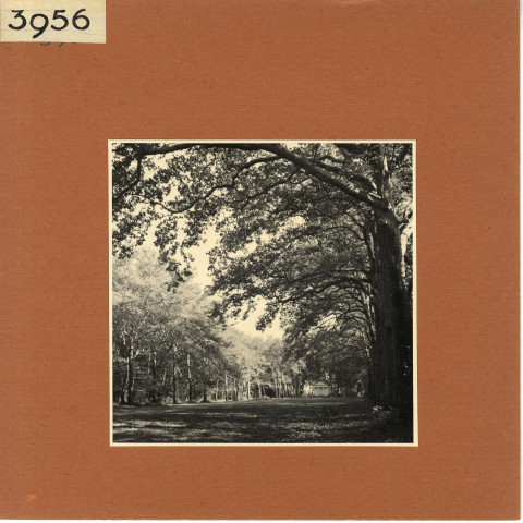 Mazé : Château de Montgeoffroy (vues extérieures au sol)