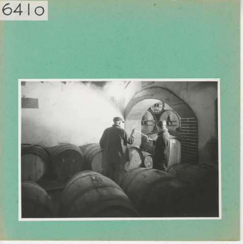 Saint-Aubin-de-Luigné : Cave dans le vignoble angevin, "La Biquerie"