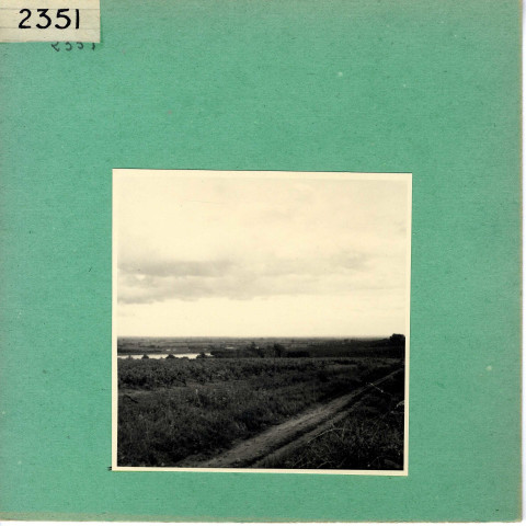 Le Thoureil : Vignoble, côteaux de la Loire (près de l'Abbaye de Saint Maur)