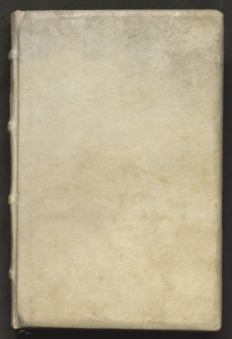 Guillaume Péraud. Summa de vitiis