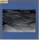 Rochefort-sur-Loire : La Guimonière, vignoble (vue aérienne)