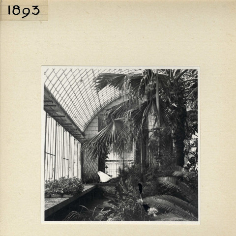 Angers : Serre, jardin des Plantes