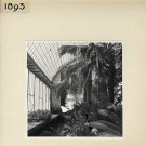 Angers : Serre, jardin des Plantes