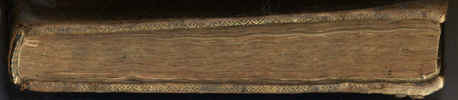 Louis Trincant, procureur du roi aux sièges royaux de Loudun. Histoire généalogique de la maison du Bellay