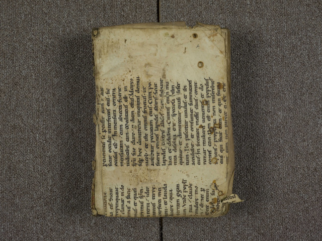 « Incipit liber gestorum Barlaam et Josaphat, servorum Christi, editus greco sermone a Johanne Damasceno, viro sancto et erudito. Cum cepissent monasteria construi... » « Expliciunt sermones Barlaam et Josaphat, servorum Dei. Qui scripsit vivat, gaudeat atque legens. Amen »