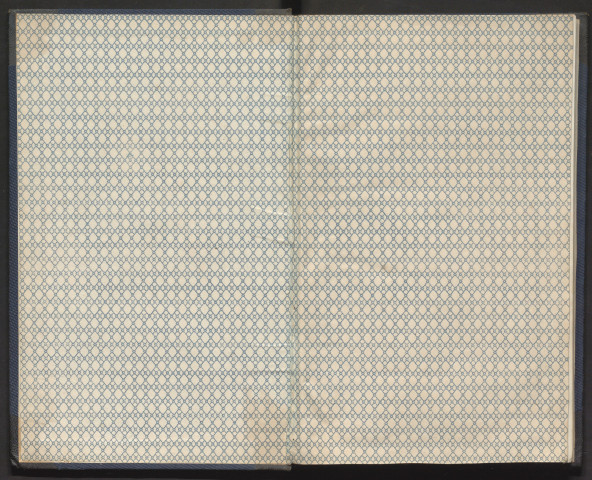 Album botanique et pittoresque d'Italie, 1844. [Relation du voyage]