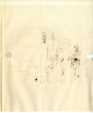 Schelling, Friedrich Wilhelm Joseph von