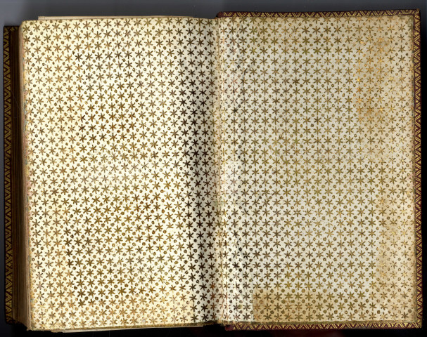 Elémens de fortification, de l'attaque et de la deffense des places ; contenant le systême des auteurs les plus célèbres, neuf systêmes de l'auteur, etc., Par M. Trincano