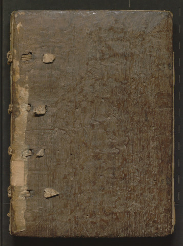 Recueil de fragments de traités juridiques