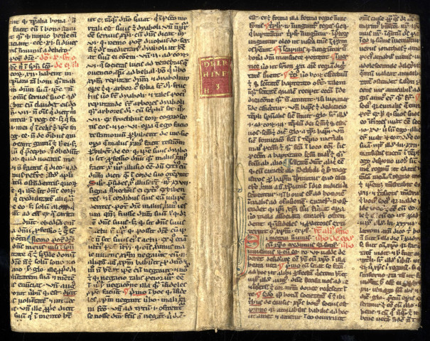 Fragments des sermons LXXI et LXXVII des Sermones in epistolas et evangelia dominicarum...