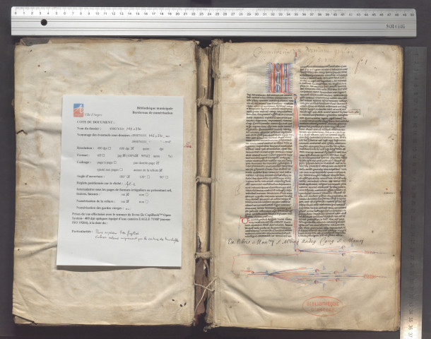 Commentaire de Jo. Faventinus ou Jean de Faenza, sur le Décret de Gratien. Début : « Cum multa super Concordantia discordantium canonum sint actenus edita... » Fin : « Laboriosi operis et operosi laboris querens requiem et gloriam sempiternam »