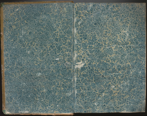 Dictionnaire chinois, français et latin