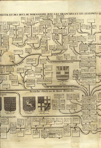 Carte généalogique de la maison de Plantagenette et des ducs de Normandie avec les branches et les alliances quelles ont formées pour conduire à l'intelligence de l'histoire d'Angleterre et d'Ecosse et d'Irlande. Tome 2, n. 47