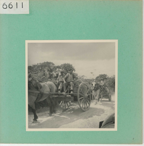 Anjou : Vignoble angevin