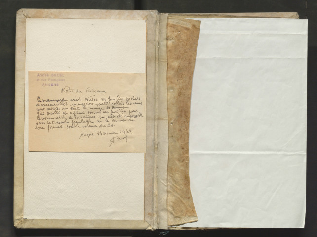 Guillaume Péraud. Summa de vitiis