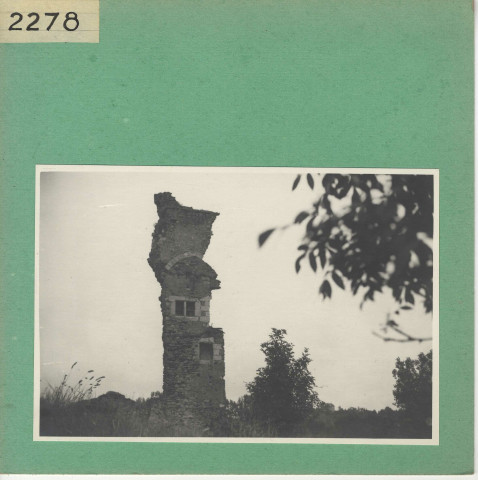 Rochefort-sur-Loire : Ruines de Saint Offange