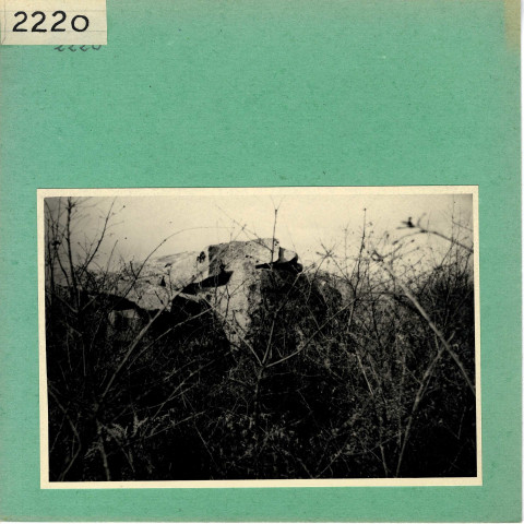 Corzé : Dolmen de la Pidoussière, près de Château d'Ardenay