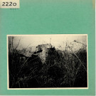 Corzé : Dolmen de la Pidoussière, près de Château d'Ardenay