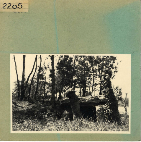 Jarzé : Dolmen de la Roche Thibault