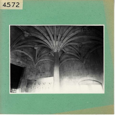 Baugé : Château, escalier et palmier