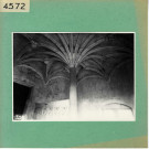 Baugé : Château, escalier et palmier