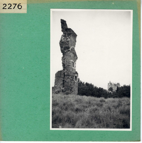Rochefort-sur-Loire : Ruines de Saint Offange