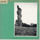 Rochefort-sur-Loire : Ruines de Saint Offange