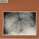 Contigné : Château de La Haye