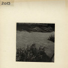 Angers : Jardin des Plantes