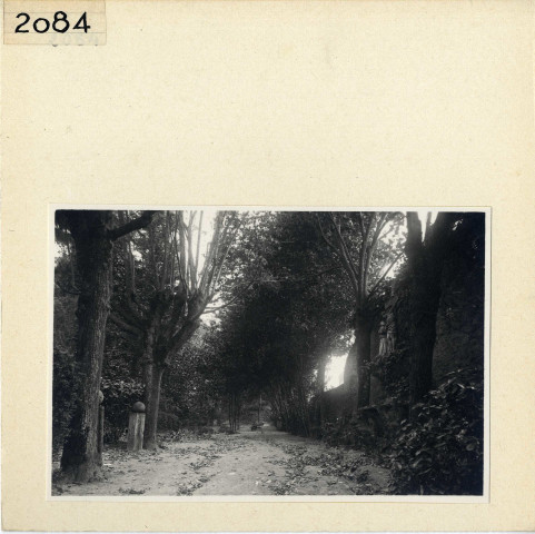 Angers : Esvière (Vieil Angers)