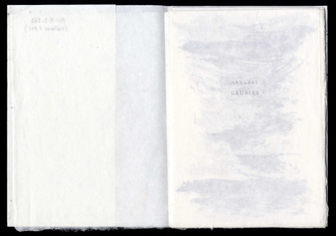 Caprices d'un invisible élan